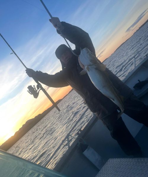 WhatsApp Image 2025-06-12 at 15.36.39