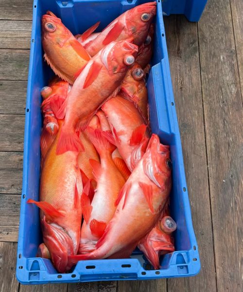 WhatsApp Image 2025-06-12 at 19.11.30